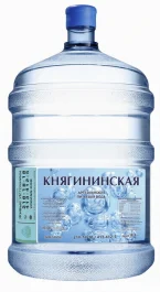 Княгининская